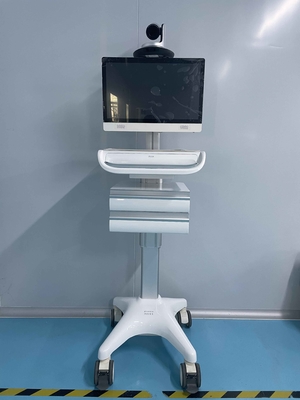Jednoekranowa medyczna mobilna stacja robocza klasy I 1920x1080 iPS
