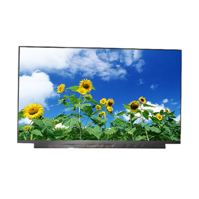 Pionowy pasek AUO 15,6-calowy panel LCD B156HAN13.0 10 pinów EKRAN LCD