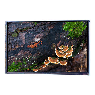 VVX07H005A00 7,0 cala 450 cd/m2 LCD Panel wyświetlania ekranu