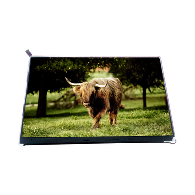 VVX10F002A90 10,1 cala 1000: 1 Panel wyświetlania ekranu LCD