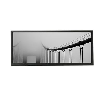 AV103Z7M-N1C-D8P0 10,3-calowy moduł LCD