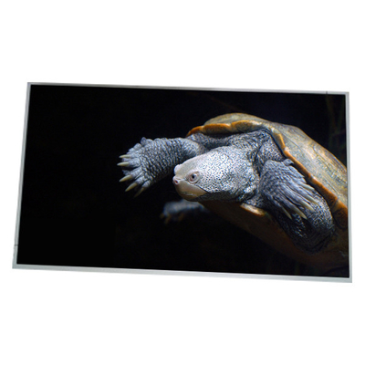 LM300W01-STA2 Nowy 30,0 cali ekran LCD 2560*1600