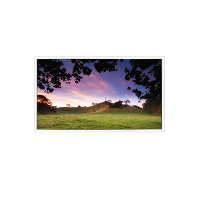 12.1 cala 1280*800 EV121WXM-N16 LCD Panel Display
