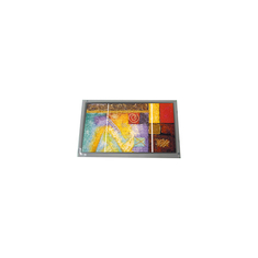 NOWY 800*600 7.0 cali AM-800600JTMQW-TA0H Monitor z ekranem dotykowym TFT-LCD