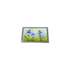 AM-1024600K5TMQW-09H 1024*600 LVDS TFT LCD Panel Display