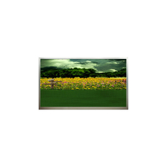 15.6 cali N156B3-L01 1366*768 ekran LCD 60Hz w magazynie