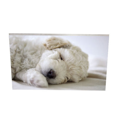 Dobra cena. AUO AUO 23,8