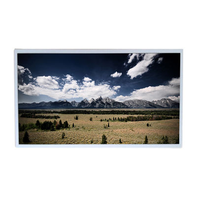 Dobra cena. 18,5-calowy monitor LCD 1366x768 LM185TT2A z ekranem dotykowym w Internecie