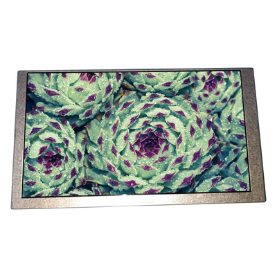 Dobra cena. 6.2 cali HSD062IDW1-B00-C00 panel lcd 800*480 ekran lcd w Internecie