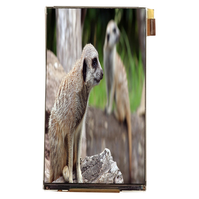 Dobra cena. LQ055K3SX02 5,5 cala LCD Module Interface 720*1280 LCD Screen For Car Display w Internecie
