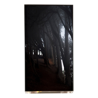 Dobra cena. LQ055T3SX04 5,5 cala ekran 1080*1920 TFT-LCD w Internecie