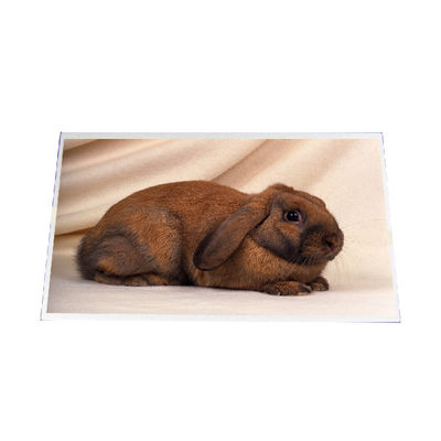 Dobra cena. B140RW03 V1 14,0 cala 1600*900 LCD PANEL w Internecie