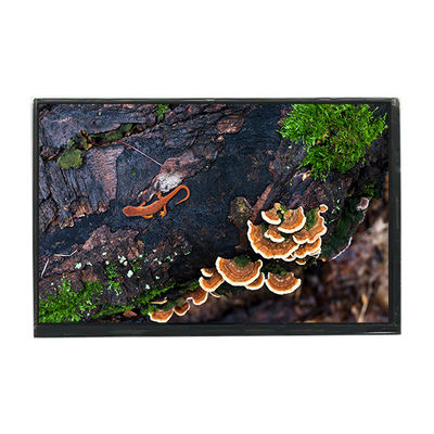 Dobra cena. LTD121EA4Z 12,1 cala 1024*768 LCD Panel wyświetlania ekranu w Internecie