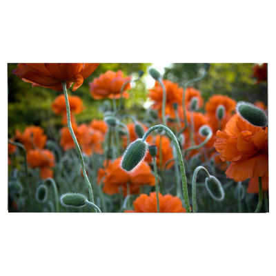 Dobra cena. LM270WR8-SSC1 27.0 cali Panel LCD 3840*2160 Ekran LCD w Internecie