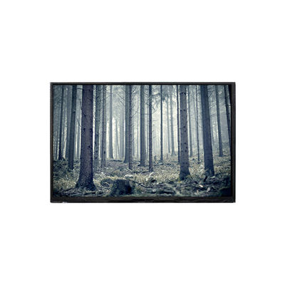 Dobra cena. BP101WX2-100-3QP0 10,1 cala ekran LCD w Internecie