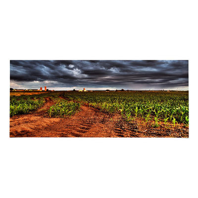 Dobra cena. LM340UW6-SSA3 34,0 cali Panel LCD 3440*1440 Wyświetlacz LCD w Internecie