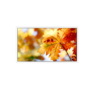 Dobra cena. EV238FHM-N12 23.8 cali 1920*1080 Monitor LCD w Internecie