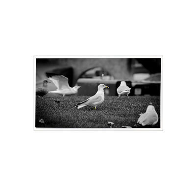 Dobra cena. 1200*1920 QV080WUM-N40 8,0 cala LCD Panel Display dla tabletów w Internecie