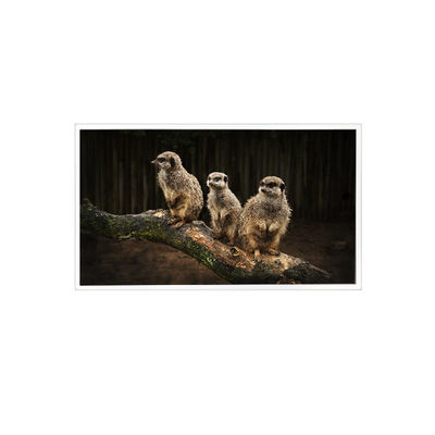 Dobra cena. RV150U0M-NI0 1600*1200 15,0 cala LCD Panel Display w Internecie