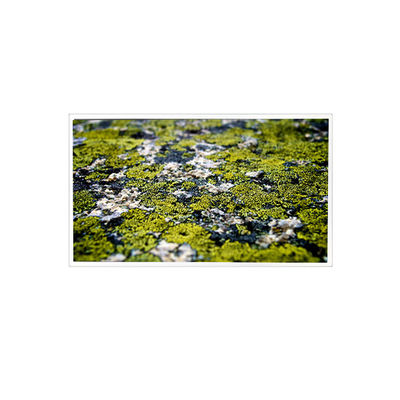 Dobra cena. 10.4 cali RV104X0M-N00 1024*768 Ekran LCD dla przemysłu w Internecie