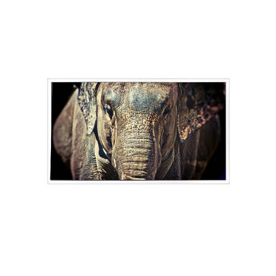 Dobra cena. VL-FS-7HD 1280*768 7,0 cala Ekran LCD do wyświetlacza samochodowego w Internecie