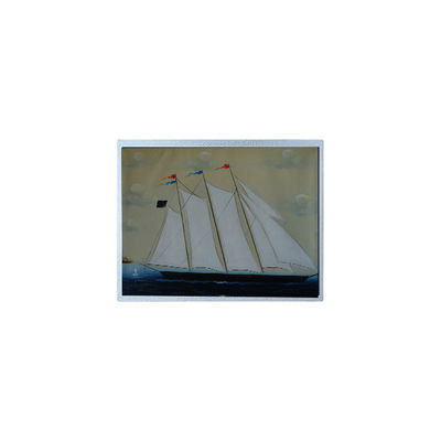 Dobra cena. Gorąco sprzedawać 10,1 cala AM-1280800J4TZQW-T00 TFT ekran LCD dla przemysłu w Internecie