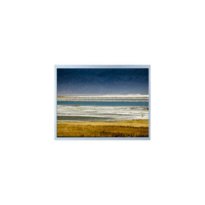 Dobra cena. 10.1 cala HSD101GWW5-A00-0220 1280*800 LCD Panel Display Module w Internecie