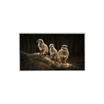 Dobra cena. HR236WU1-310 23,6 cala 1920*1080 Ekran LCD TFT Panel LCD w Internecie