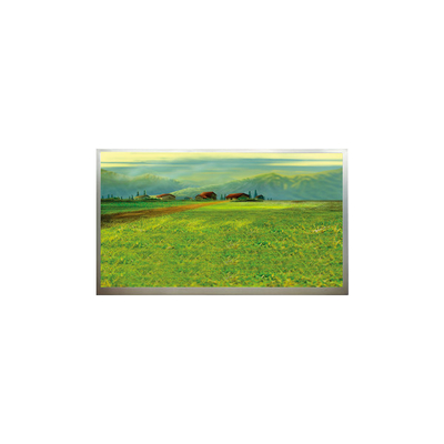 Dobra cena. N173H6-L04 1920*1080 17,3-calowy panel LCD w Internecie