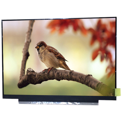 Dobra cena. Oryginalny panel 11.6 cala G116HAN01.0 FHD 1920 (RGB) × 1080 IPS tft lcd w Internecie