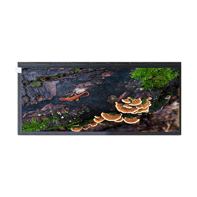 Dobra cena. 12,3 cala HSD123KPW2-A10 50-pinowy wyświetlacz LCD do wyświetlacza samochodowego w Internecie