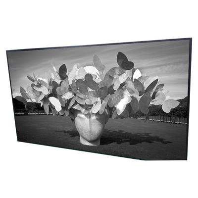 Dobra cena. 42,0-calowy ekran LCD 1920*1080 P420HVN01.0 Panel wyświetlacza Digital Signage w Internecie