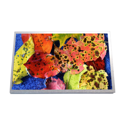 Dobra cena. 10.1 cali HSD100IFW1-A02 Netbook LCD LED Display Panel w Internecie