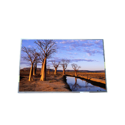 Dobra cena. RGB 1440*900 B170PW03 V9 99PPI Panel LCD TFT w Internecie