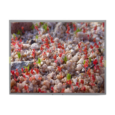 Dobra cena. LM201WE2-SLBC TFT LCD Module 20,1-calowy panel LCD dla LG w Internecie