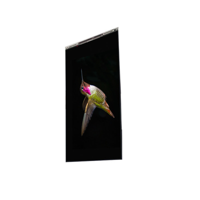 Dobra cena. BS062FBE-L30-6Q00 6,3 cala LCD Display LCD ekran PANEL Dla telefonów komórkowych w Internecie