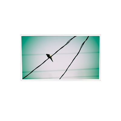 Dobra cena. TDA104-001V01 10,4 cala 1024*768 1000:1 LVDS LCD Panel Display dla przemysłu w Internecie