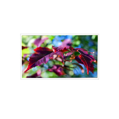 Dobra cena. TV116FHM-N00 1920*1080 11,6 cala 60Hz 40 pinów LCD Panel Monitor w Internecie