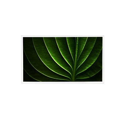 Dobra cena. TAD201-001 20,1 cala 1600*1200 450 cd/m2 Ekran LCD 60Hz dla przemysłu w Internecie