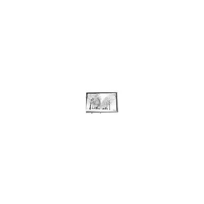 Dobra cena. 80,8 cala 768*768 TPA088-001V02 16,7M 71% NTSC Panel LCD dla przemysłu w Internecie