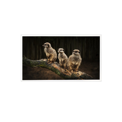 Dobra cena. RV150U0M-NI0 1600*1200 15,0 cala LCD Panel Display w Internecie