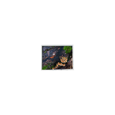 Dobra cena. 5.7 cali PD057VU8 640*480 ekran LCD 60Hz dla przemysłu w Internecie
