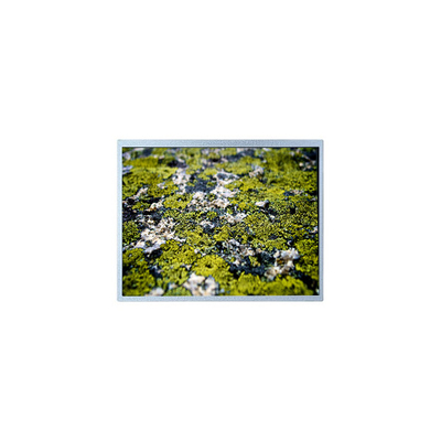 Dobra cena. 1024*768 12,1 cala PD121XL9 4S6P WLED 60Hz LCD Panel Screen w Internecie