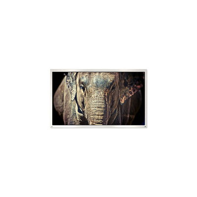 Dobra cena. PE040QX1 MiNi 4,0 cala 320*240 1000:1 30 pinów Panel ekranu LCD w Internecie