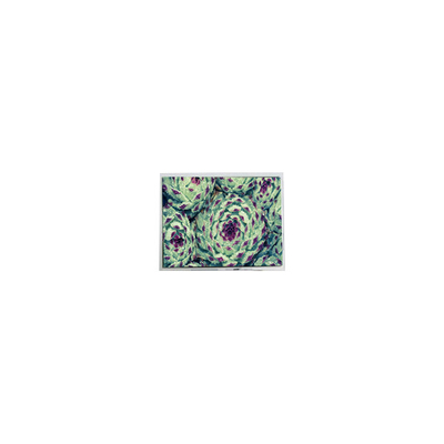 Dobra cena. NOWY 320*240 AG-320240A4STQW-TX3H ((N) ((R) 5,7 cala 1S6P WLED ekran LCD w Internecie