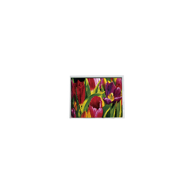 Dobra cena. AM-800480LATMQW-TN0H-L 800*480 5,0 cala 3S6P WLED LCD Panel w Internecie