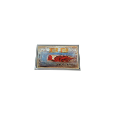 Dobra cena. Hot Sell 800*480 AM-800480S5LMQW-00 7,0 cala 1000: 1 panel LCD w Internecie