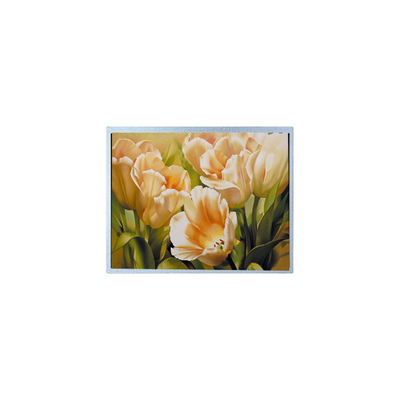 Dobra cena. 9.0 cali 1024*600 AM-1024600Y2TZQW-A0H TFT 1200 cd/m2 Panel ekranu LCD w Internecie