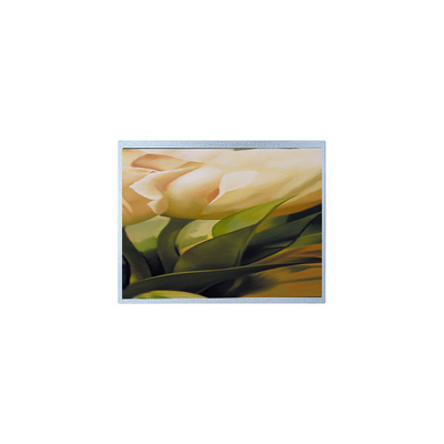 Dobra cena. AM-1024600YTZQW-00H 1024*600 9,0 cala TFT 500 cd/m2 Panel ekranu LCD w Internecie