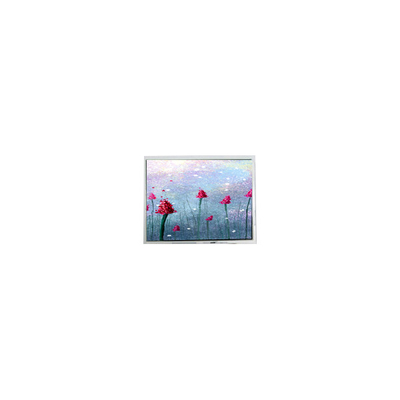 Dobra cena. 5.2 cali DMF5005N-SEW-ABE-CP 240*64 70Hz LCD Display w Internecie